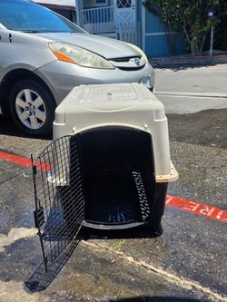 XXL dog carrier/dog house