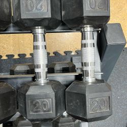 20lb Dumbbells 