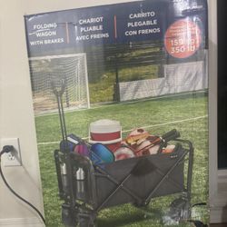 Folding Wagon.