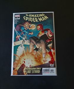 Amazing Spider-Man #13