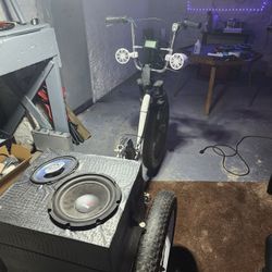 Custom e bike 1000 Watt Hub  48v Battery 