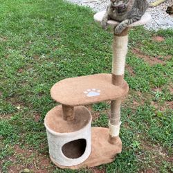 Cat Tree and Condo