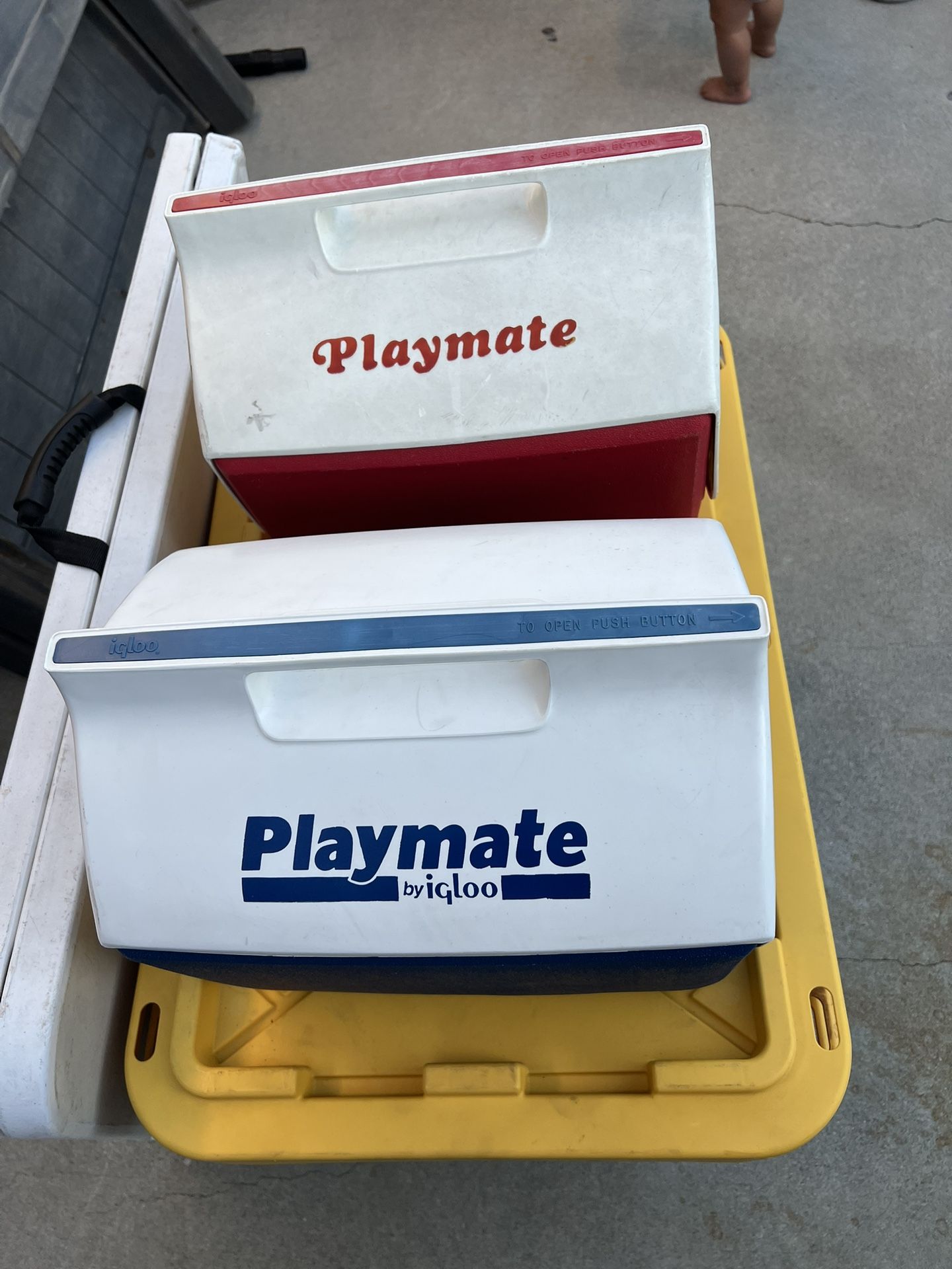 Playmate By Igloo Coolers 