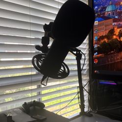 Condenser Mic