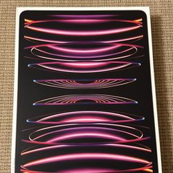 Apple iPad Pro M2 512 Gigs 