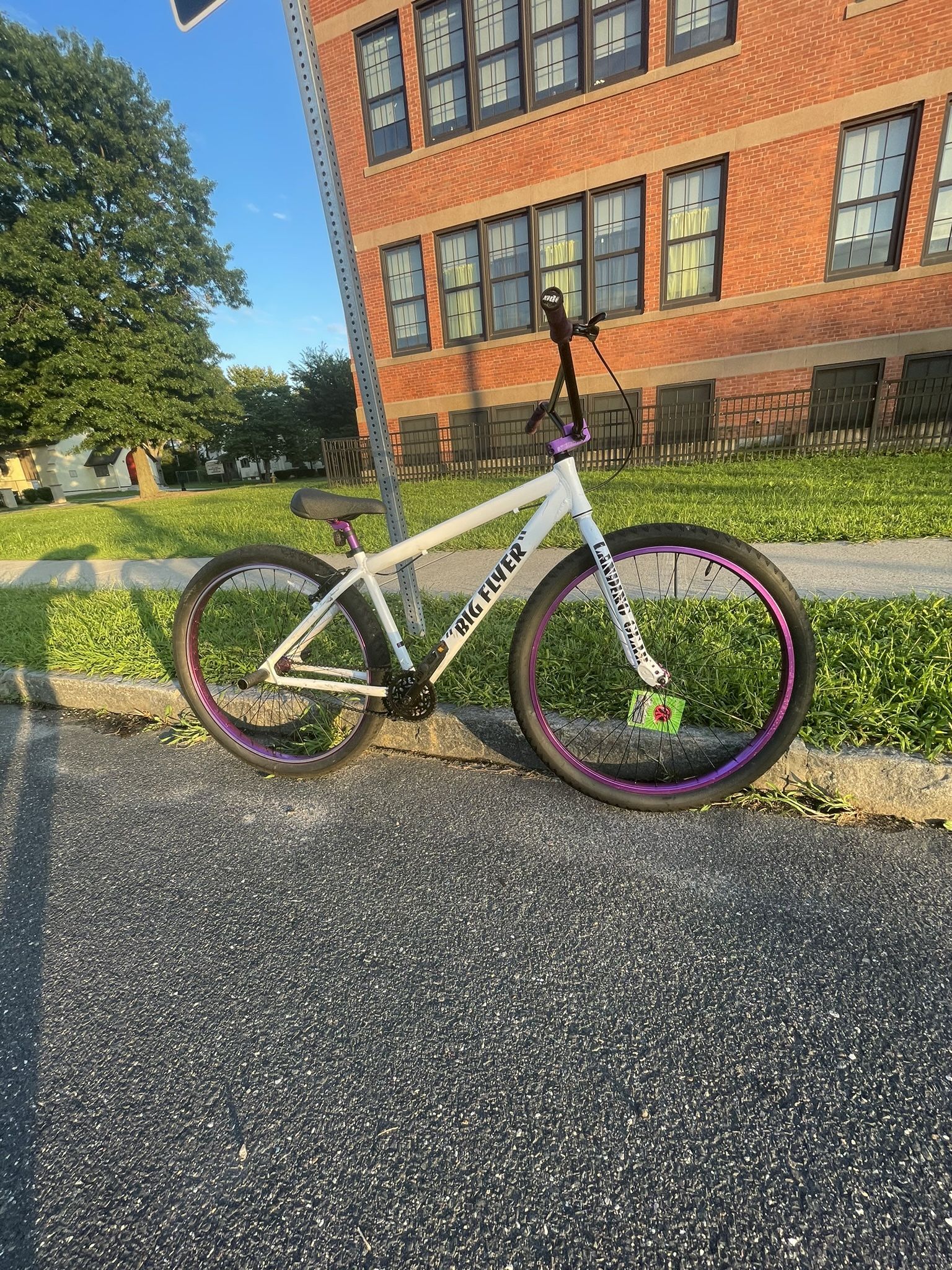 29 Inch Big Flyey