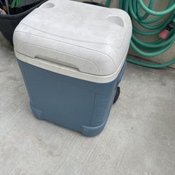 Igloo Cooler (large)
