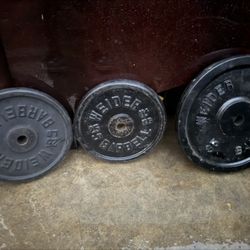 Standard Size Weights 1” Inch Hole 