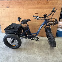 New! Max Foot Electric Trike 