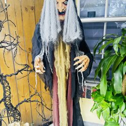 Halloween Witch Prop. 