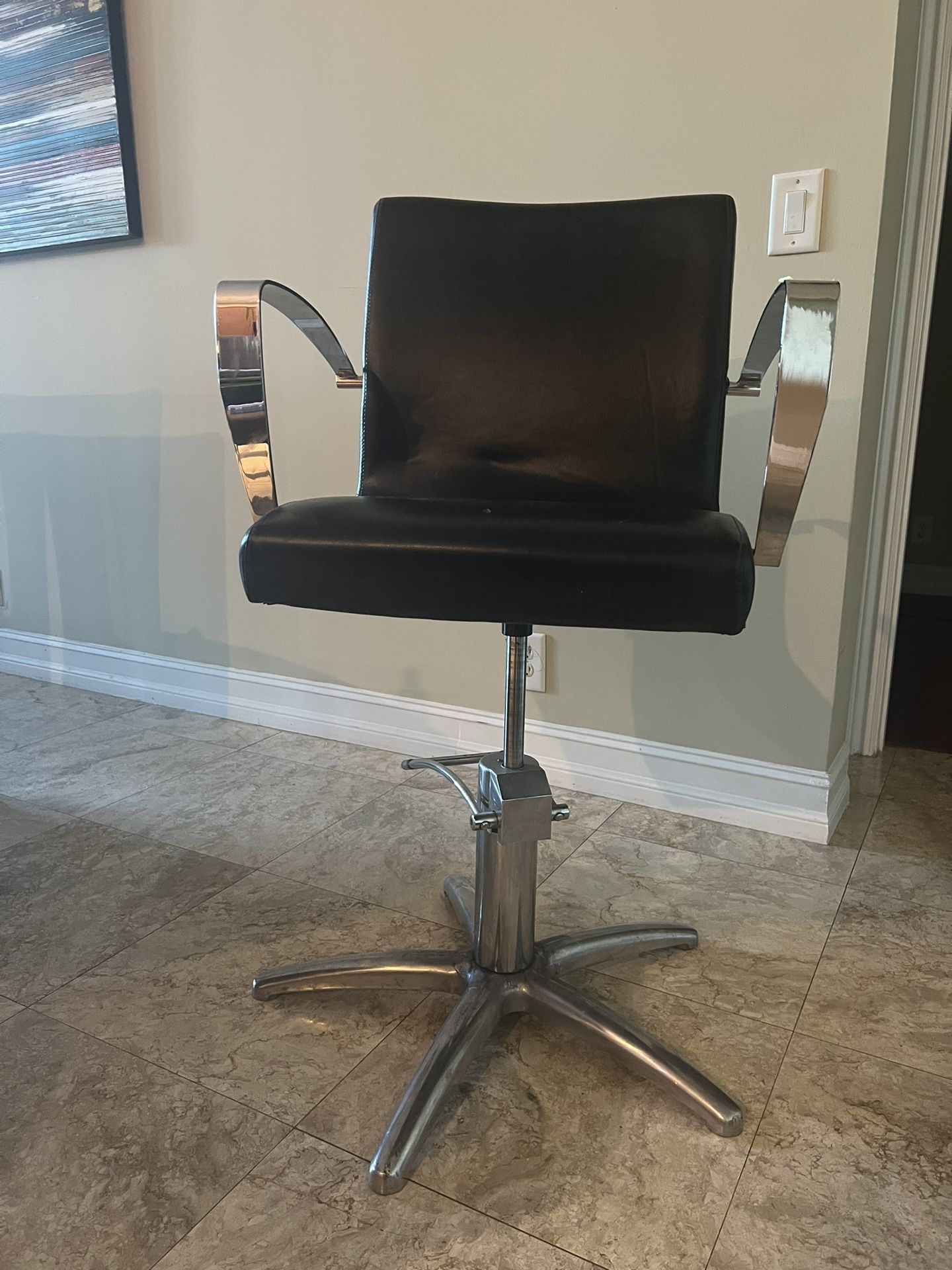 Salon Chair
