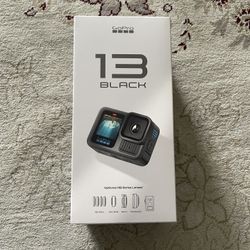 GoPro HERO13 