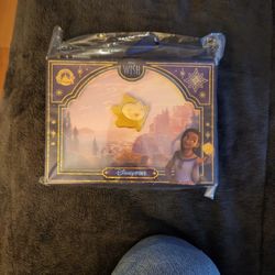Disney Wish Pin