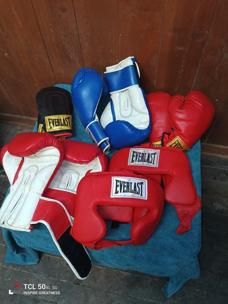 EVERLAST BOXING GLOVES