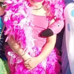 Flamingo Costume