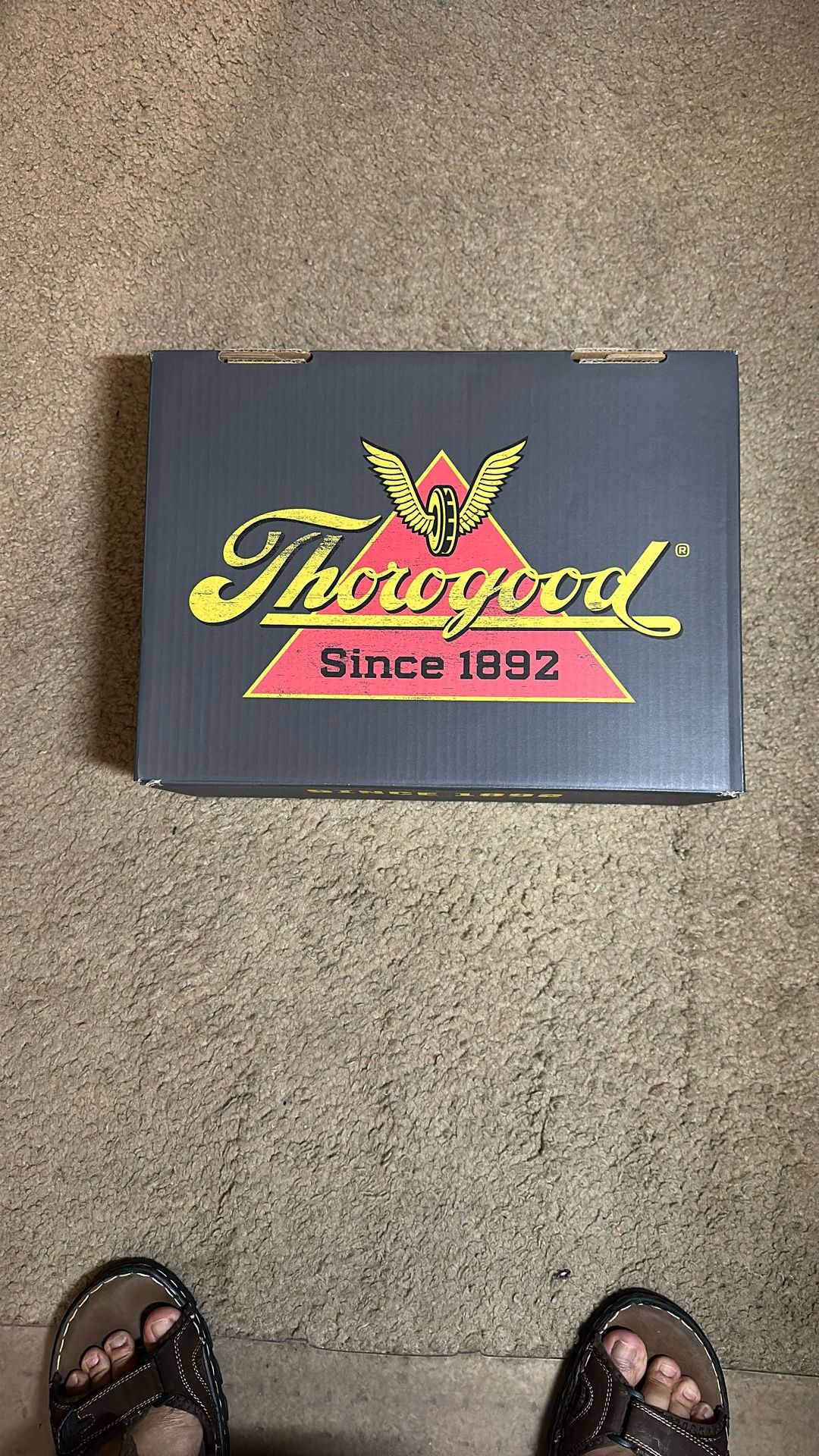 Thorogood Men’s Leather Safety Shoe/Boot