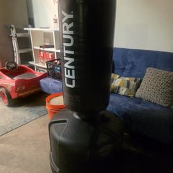 kick boxing bag century