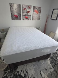 Fuil Mattress/Anniversary Edition
