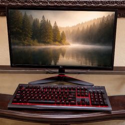 LG 24in Gaming Monitor