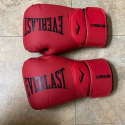12 OUNCE ELITE EVERLAST  BOXING GLOVES
