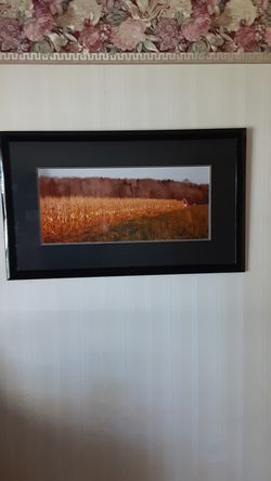Framed original photograph by local artist