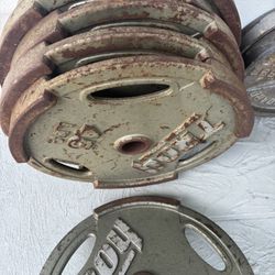 45lbs Olympic Weights 