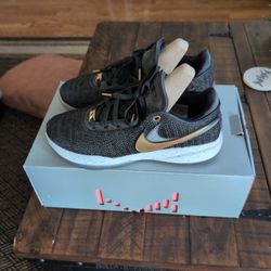 LeBron XX Black/ Metallic Gold- White