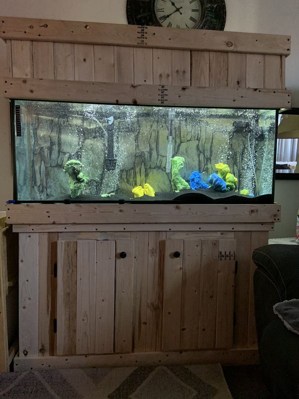 55 gallon fish tank and stand with canopy for Sale in