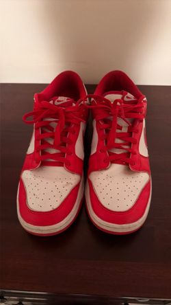 Nike dunks size 12