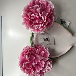Brand new Disney Mini Ears