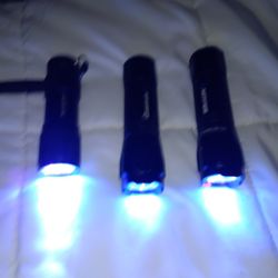 UV Flashlight
