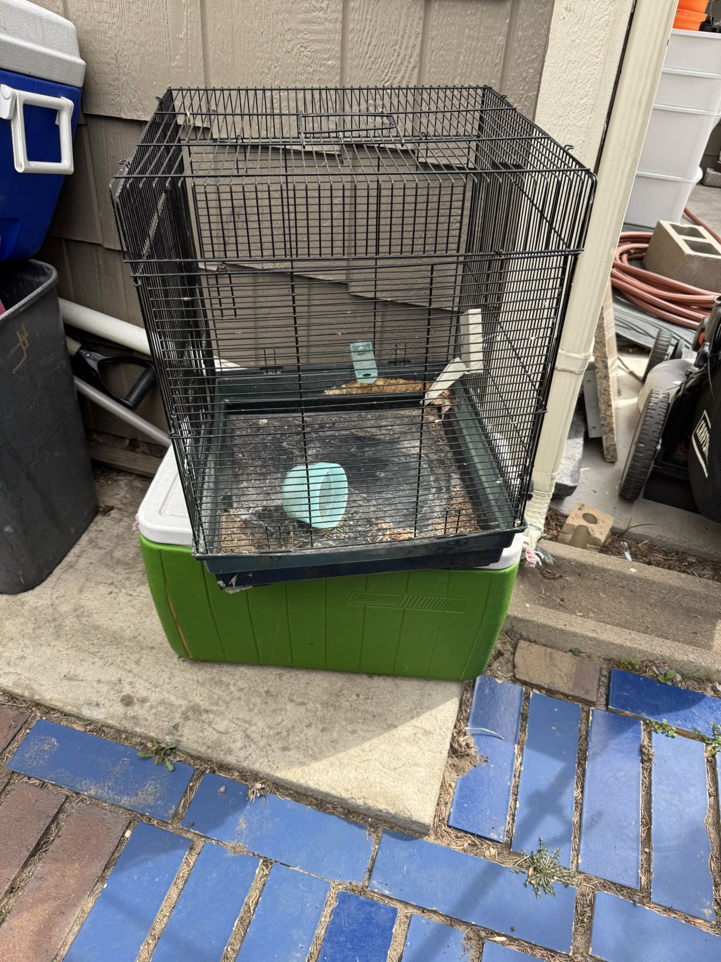Small Bird Cage
