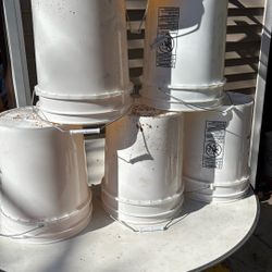 Plastic Pail 🪣 Very Clean $1.50 Each