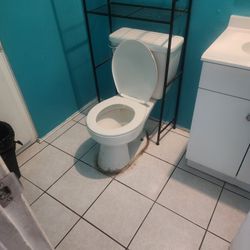 Toilets Installation 