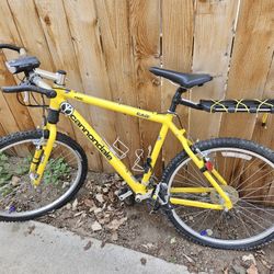 Cannondale Men's Bike