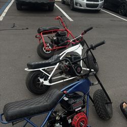 built 224 doodle bug