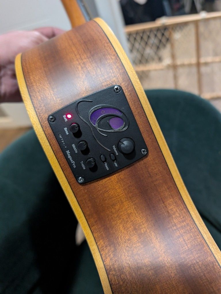 Ortega Family Series Nylon Classical Guitar