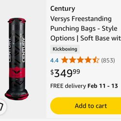 Century Punching bag