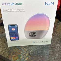 Wake Up Light 