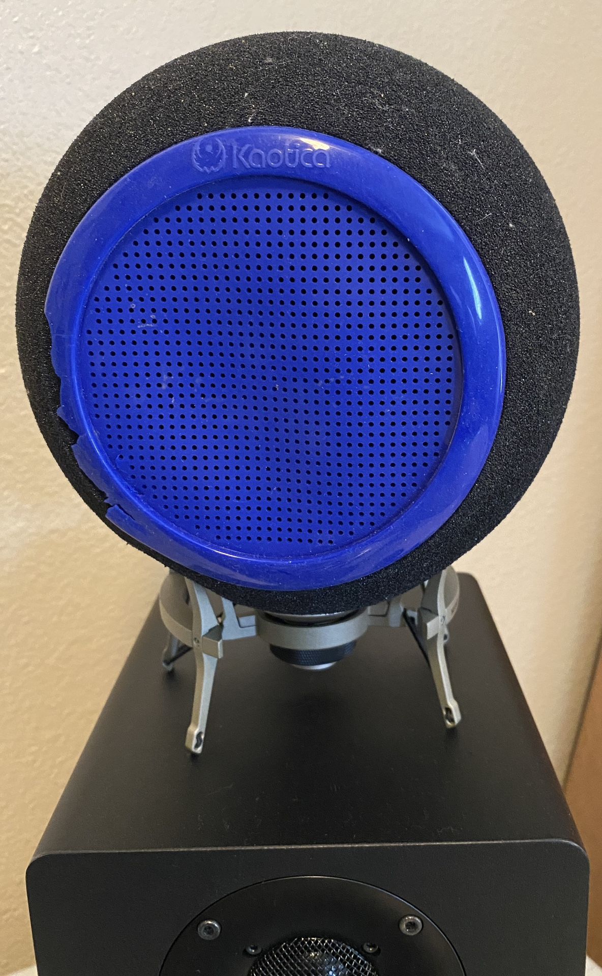 Neumann TLM103 Condenser Microphone