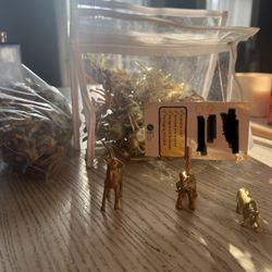 Party Animal Place Cards 