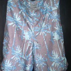 Men's Swimming Trunks