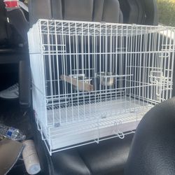 Cage For Sale