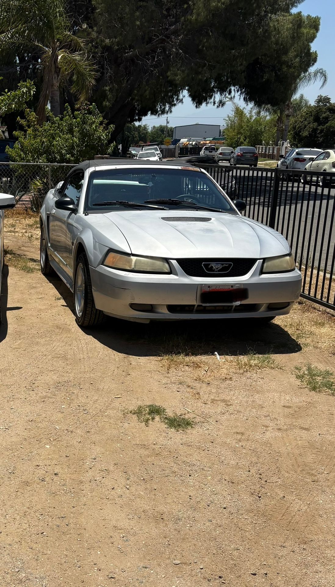 2000 Ford Mustang