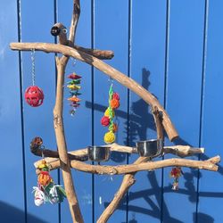 Simple Parrot Perch Tree … Great For Play Time And Training / Control … 👍🏼