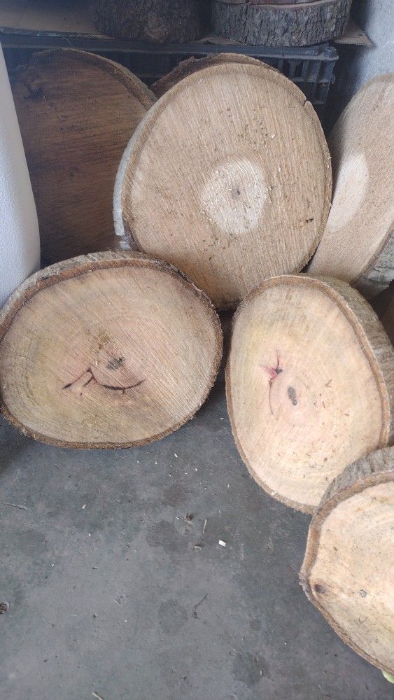 Rustic Round Wood Slices