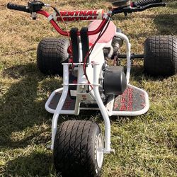 Custom Trike