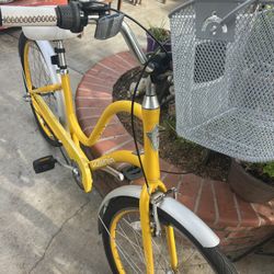 Beach Cruiser 