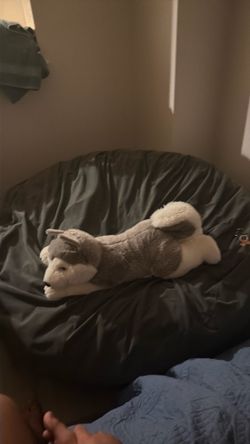 Bean Bag Chair