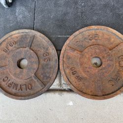 BFCO 35LB Olympic Weights 